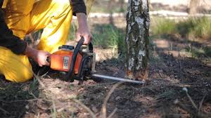 Best Utility Line Clearance  in Pismo Beach, CA